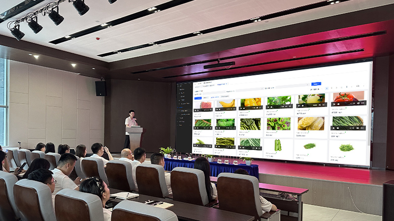 Formación y asistencia técnica